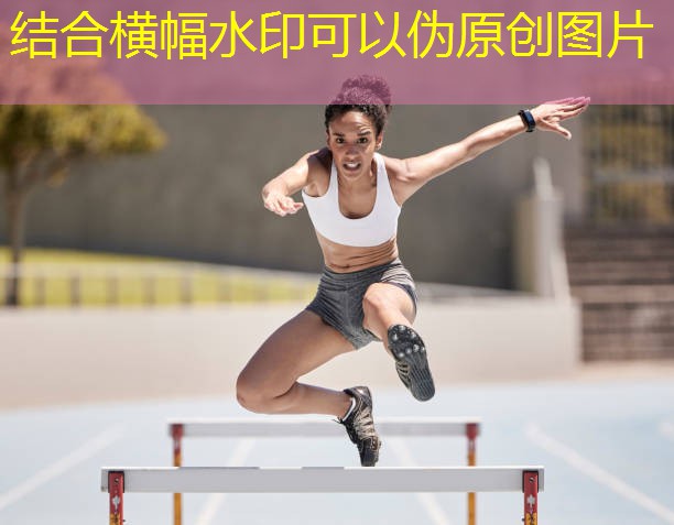 乒乓球台網高